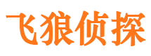 滨城市调查公司